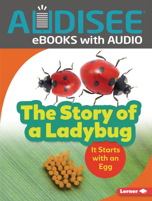 The Story of a Ladybug : It Starts with an Egg, EPUB eBook