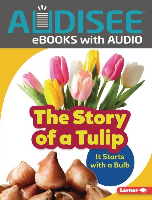 The Story of a Tulip : It Starts with a Bulb, EPUB eBook