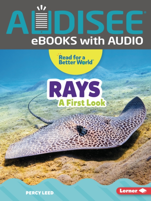 Rays : A First Look, EPUB eBook