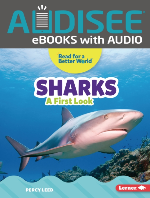 Sharks : A First Look, EPUB eBook