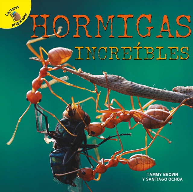 Hormigas increibles : Amazing Ants, PDF eBook