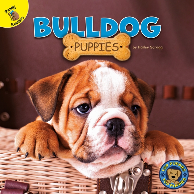 Bulldog Puppies, PDF eBook