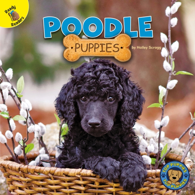 Poodle Puppies, PDF eBook