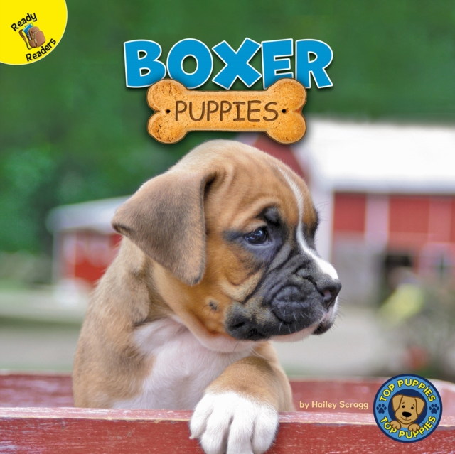 Boxer Puppies, PDF eBook