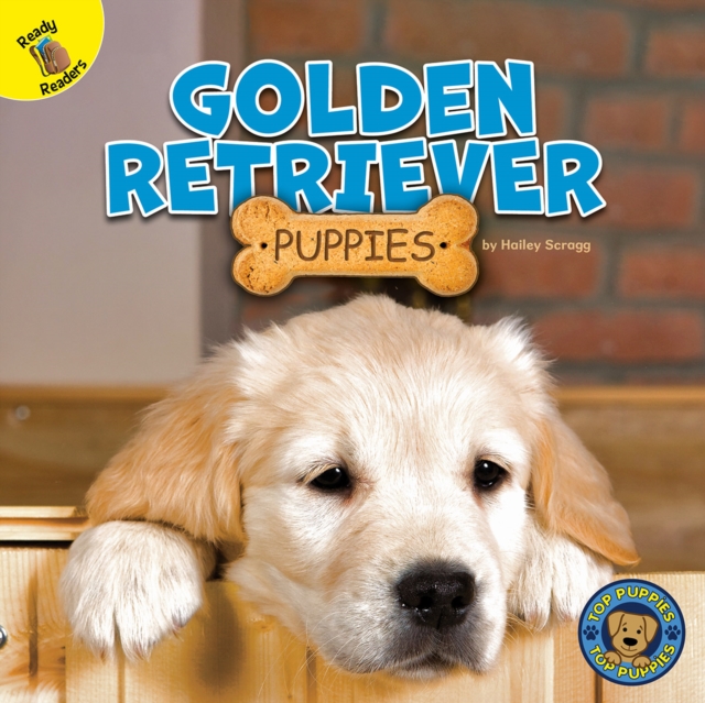 Golden Retriever Puppies, EPUB eBook