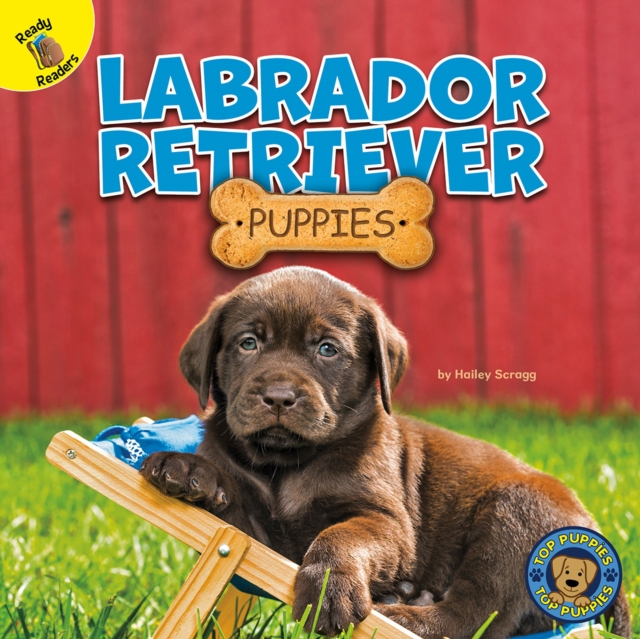 Labrador Retriever Puppies, EPUB eBook