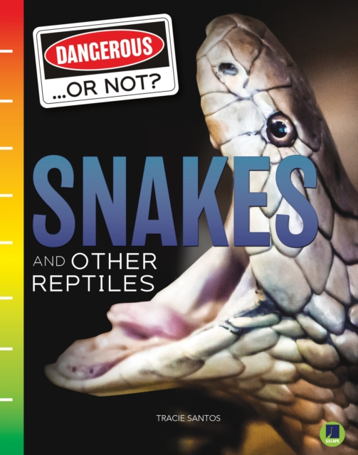 Snakes and Other Reptiles, PDF eBook