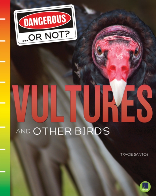 Vultures and Other Birds, EPUB eBook