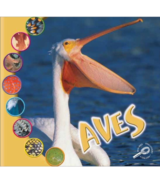 Aves : Birds, PDF eBook
