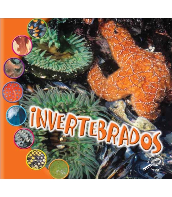 Invertebrados : Invertebrates, PDF eBook