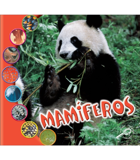 Mamiferos : Mammals, PDF eBook
