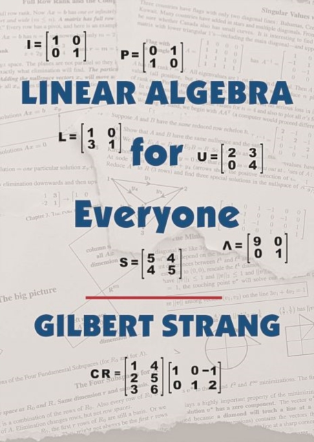 Linear Algebra for Everyone, Hardback Book