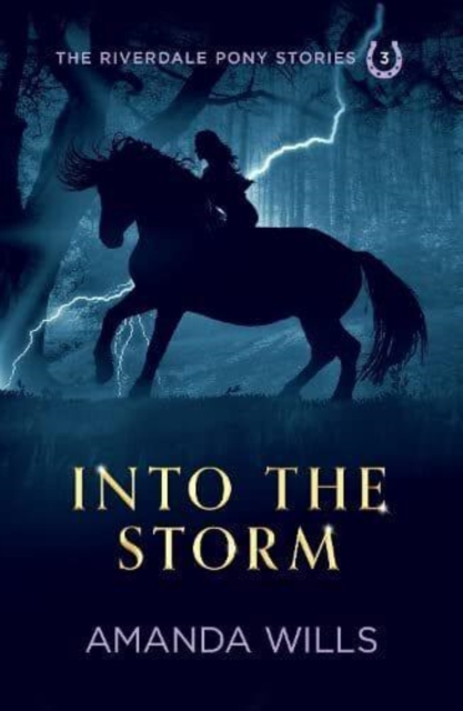 Into the Storm, Paperback / softback Book