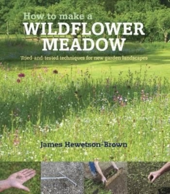 How to make a wildflower meadow : Tried-And-Tested Techniques for New Garden Landscapes, Paperback / softback Book