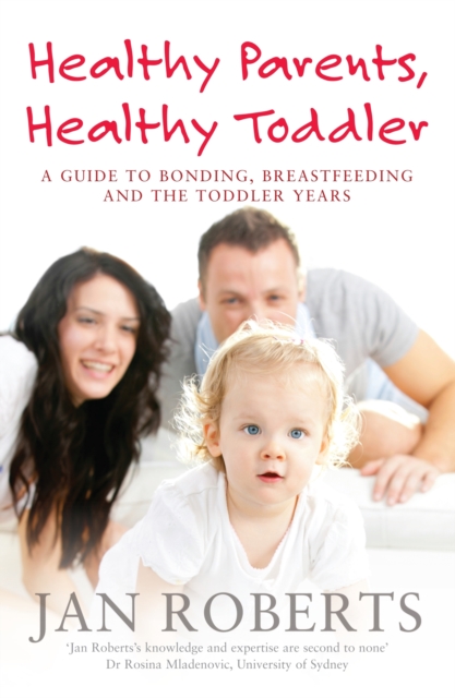Healthy Parents, Healthy Toddler: A Guide to Bonding, Breast Feeding and the Toddler Years, EPUB eBook