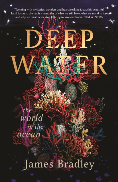 Deep Water : The world in the ocean, EPUB eBook