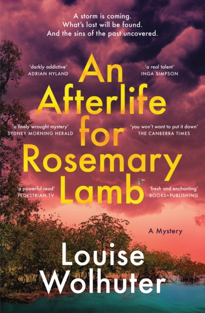An Afterlife for Rosemary Lamb, Hardback Book