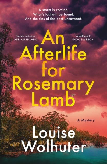 An Afterlife for Rosemary Lamb, Paperback / softback Book
