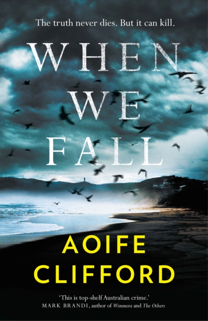 When We Fall, EPUB eBook