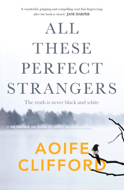 All These Perfect Strangers, EPUB eBook