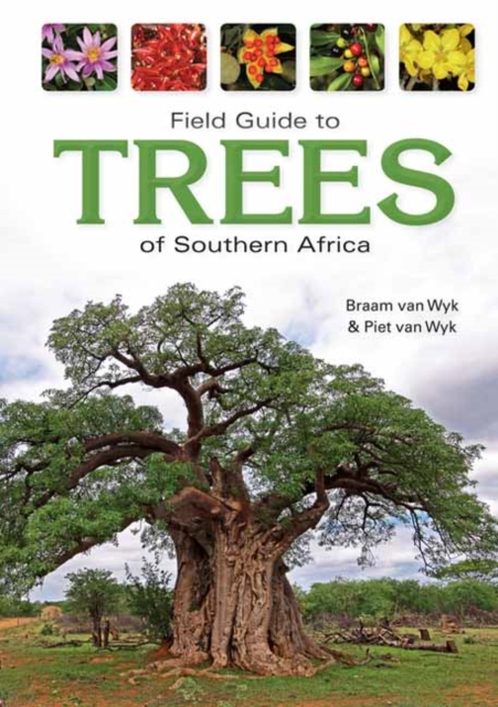 Field Guide to Trees of Southern Africa, Paperback / softback Book