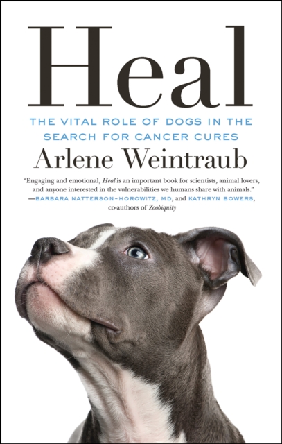 Heal : The Vital Role of Dogs in the Search for Cancer Cures, EPUB eBook