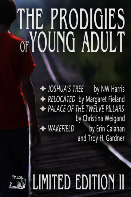 Prodigies of Young Adult, EPUB eBook