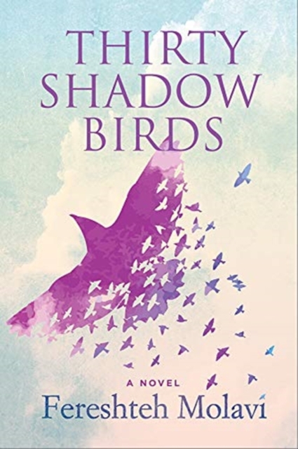 Thirty Shadow Birds, Paperback / softback Book
