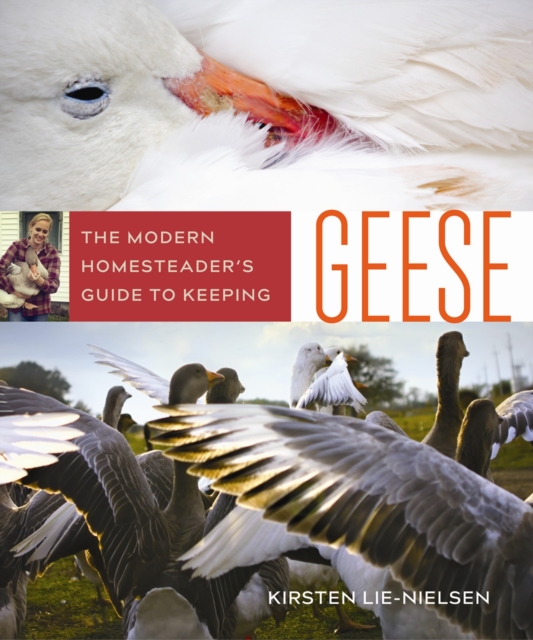 The Modern Homesteader's Guide to Keeping Geese : {Subtitle}, EPUB eBook