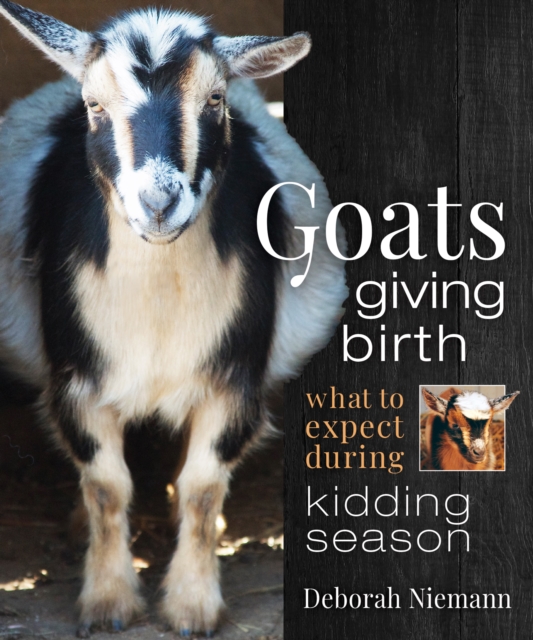 Goats Giving Birth : What to Expect during Kidding Season, EPUB eBook