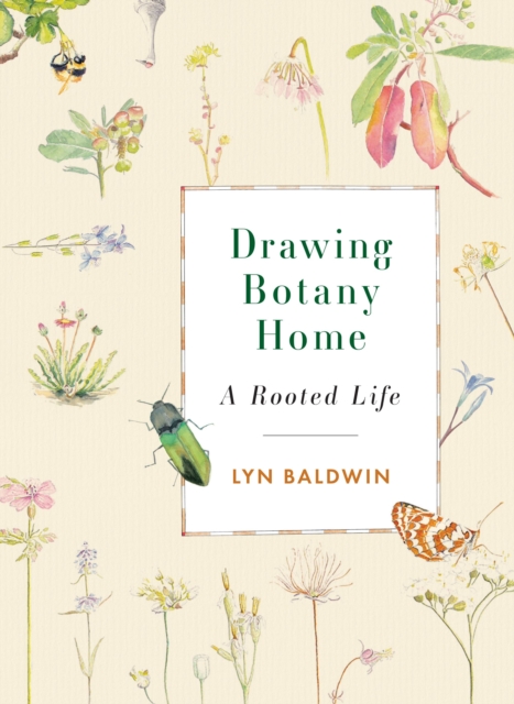 Drawing Botany Home : A Rooted Life, Paperback / softback Book