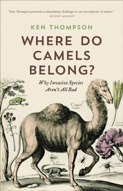 Where Do Camels Belong? : Why Invasive Species Aren't All Bad, EPUB eBook