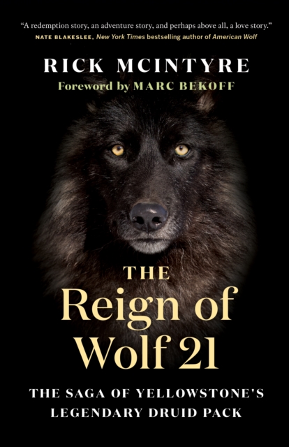 The Reign of Wolf 21 : The Saga of Yellowstone's Legendary Druid Pack, Hardback Book