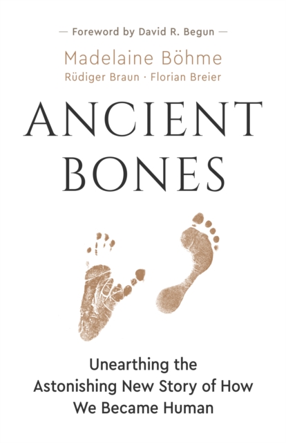 Ancient Bones : Unearthing the Astonishing New Story of How We Became Human, Hardback Book