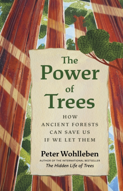 The Power of Trees : How Ancient Forests Can Save Us if We Let Them, EPUB eBook