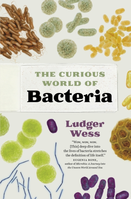 The Curious World of Bacteria, Hardback Book