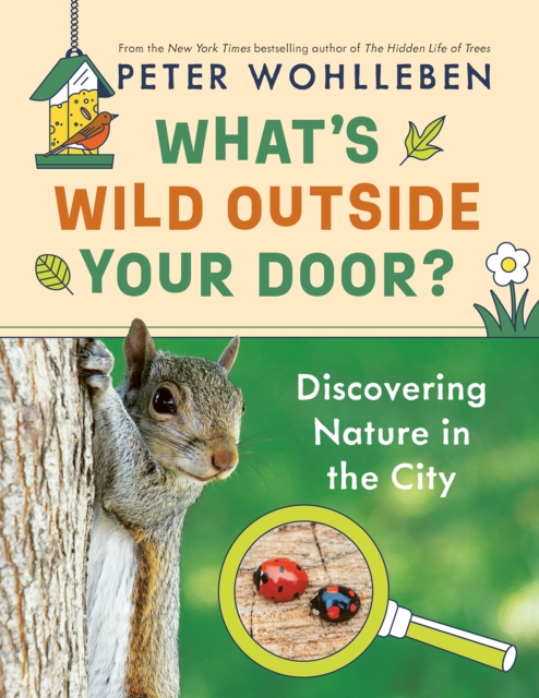 What's Wild Outside Your Door? : Discovering Nature in the City, Hardback Book