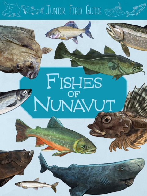 Junior Field Guide: Fishes of Nunavut : English Edition, Paperback / softback Book