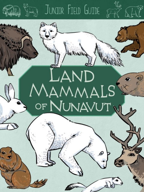 Junior Field Guide: Land Mammals : English Edition, Paperback / softback Book