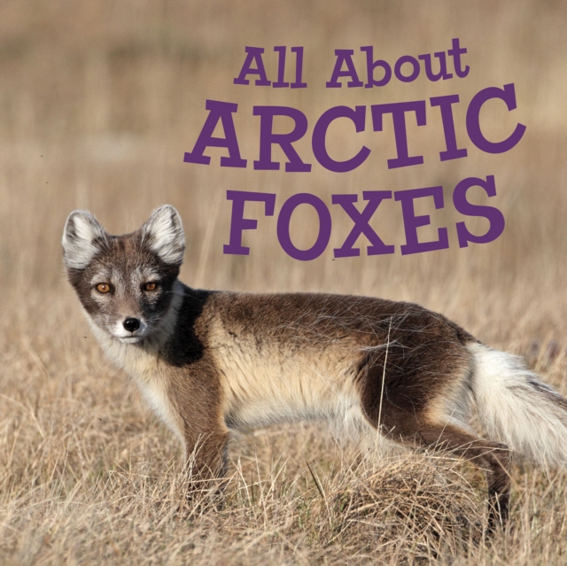 All About Arctic Foxes : English Edition, Paperback / softback Book