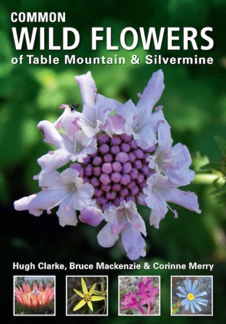 Common Wild Flowers of Table Mountain & Silvermine, EPUB eBook