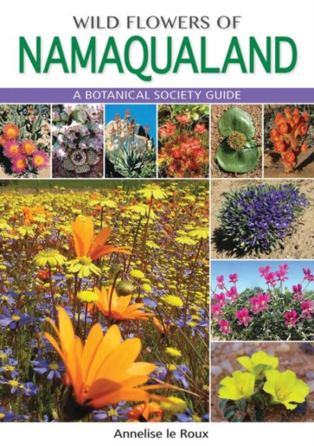 Wild Flowers of Namaqualand (PVC) : A Botanical Society guide, Paperback / softback Book