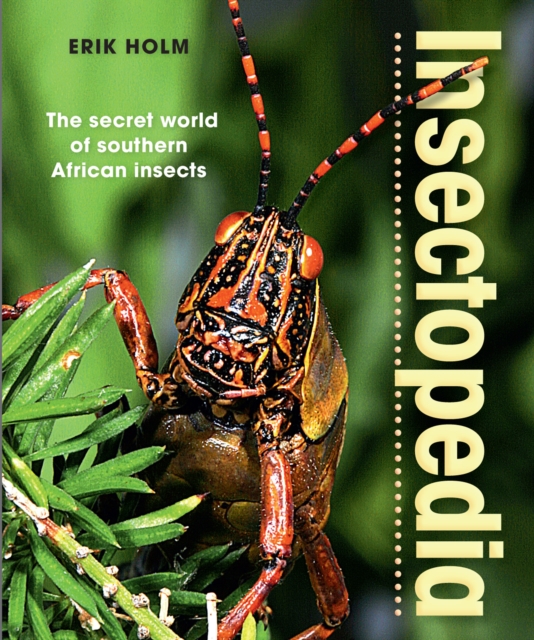 Insectopedia - The secret world of southern African insects, PDF eBook
