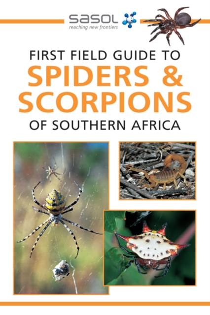 Sasol First Field Guide to Spiders & Scorpions of Southern Africa, PDF eBook