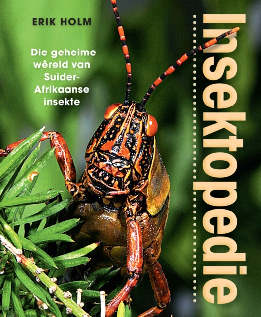 Insektopedie - Die geheime wereld van Suider-Afrikaanse insekte, PDF eBook
