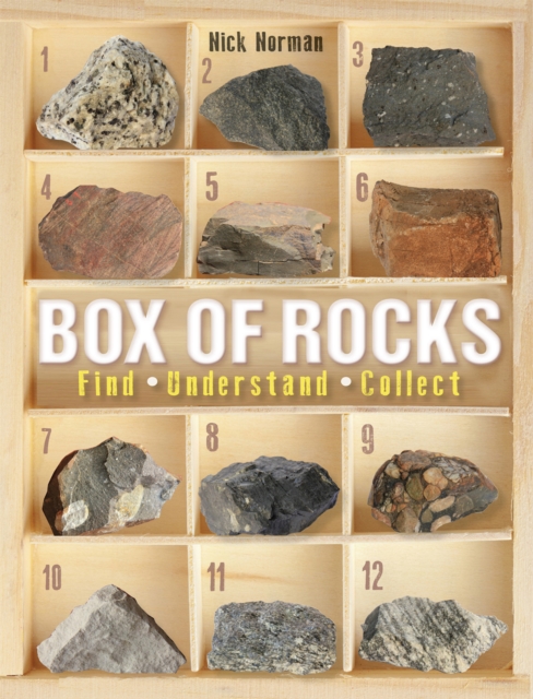 Box of Rocks : Find, Understand, Collect, PDF eBook