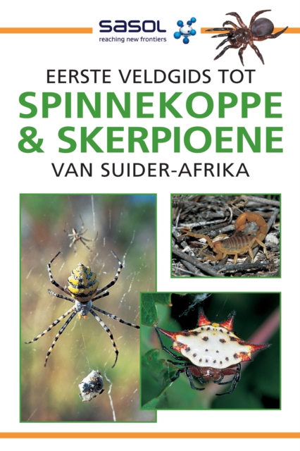 Sasol Eerste Veldgids tot Spinnekoppe en Skerpioene van Suider-Afrika, EPUB eBook