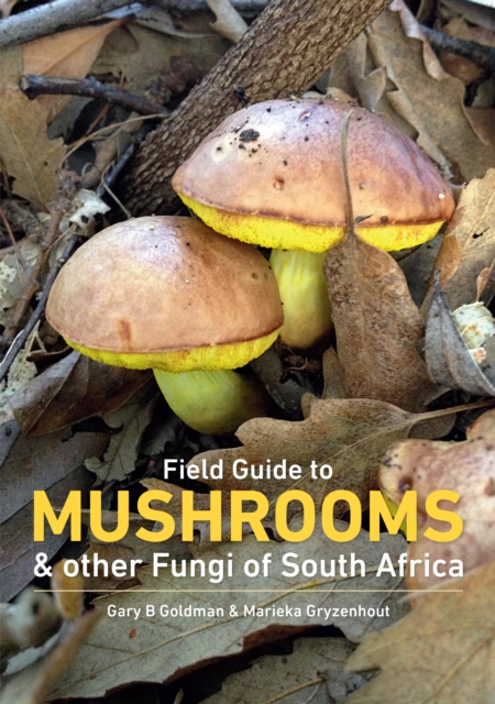 Field Guide to Mushrooms & Other Fungi of South Africa, EPUB eBook