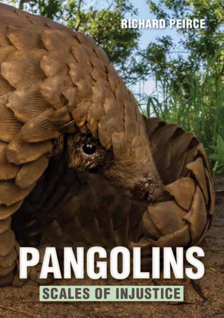 Pangolins : Scales of Injustice, Paperback / softback Book