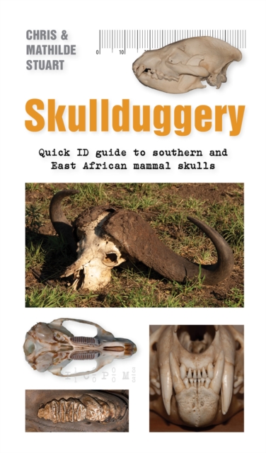 Skullduggery : Quick ID guide to southern and East African mammal skulls, EPUB eBook